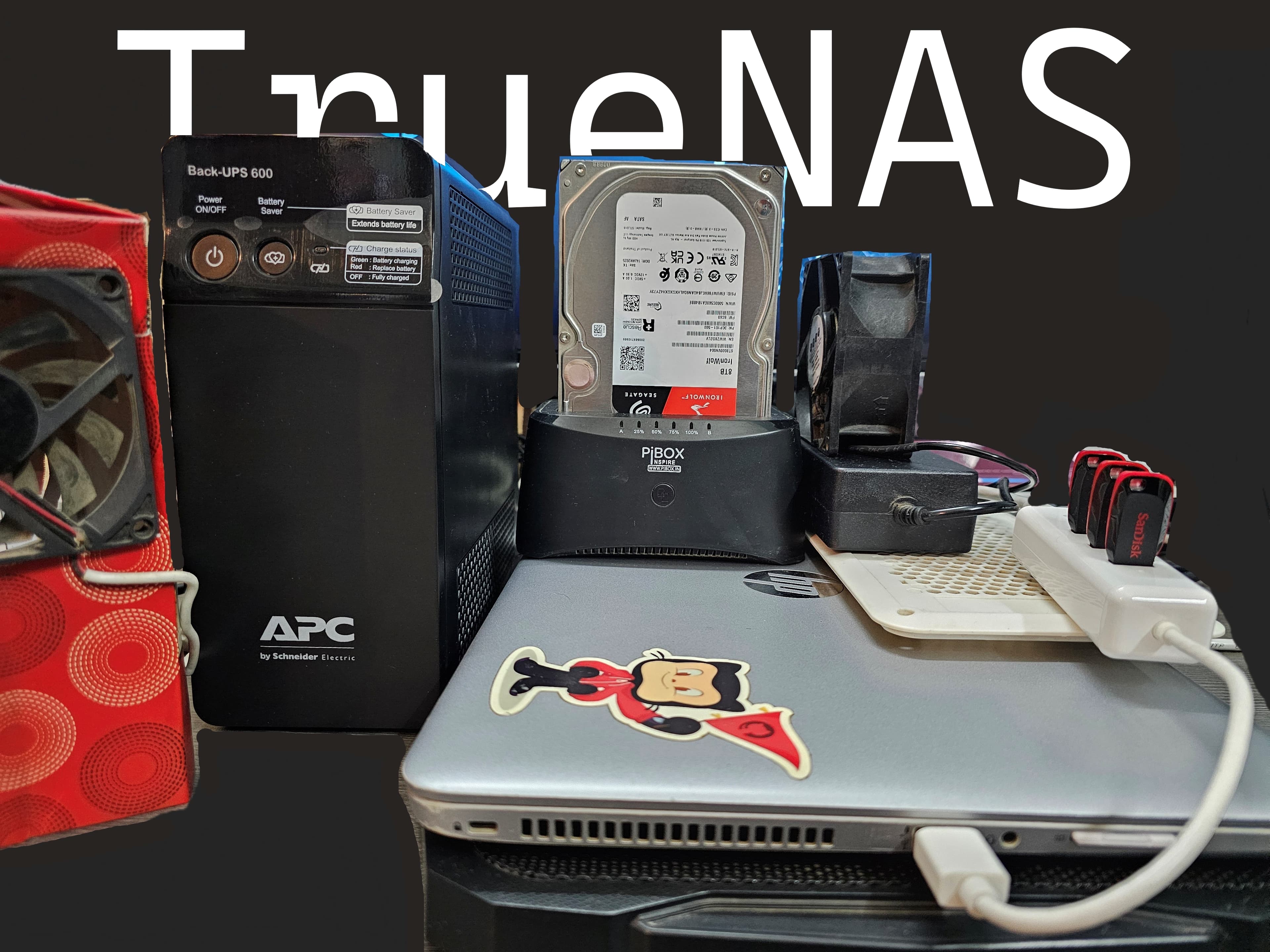 Server hardware used for the personal cloud project